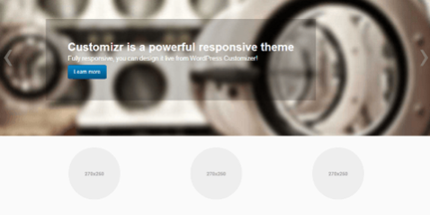 Customizr